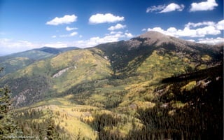 Photograph: Tom Swetnam
 