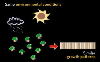Same environmental conditions




                                        Similar
                                growth pa erns
 