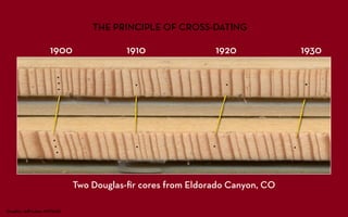 THE PRINCIPLE OF CROSS-DATING

                     1900                1910                1920             1930




                              Two Douglas-ﬁr cores from Eldorado Canyon, CO

Graphic: Jeﬀ Lukas, INSTAAR
 