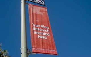 Tree-ring display at elementary school




                                    Photograph:Tom Swetnam
 