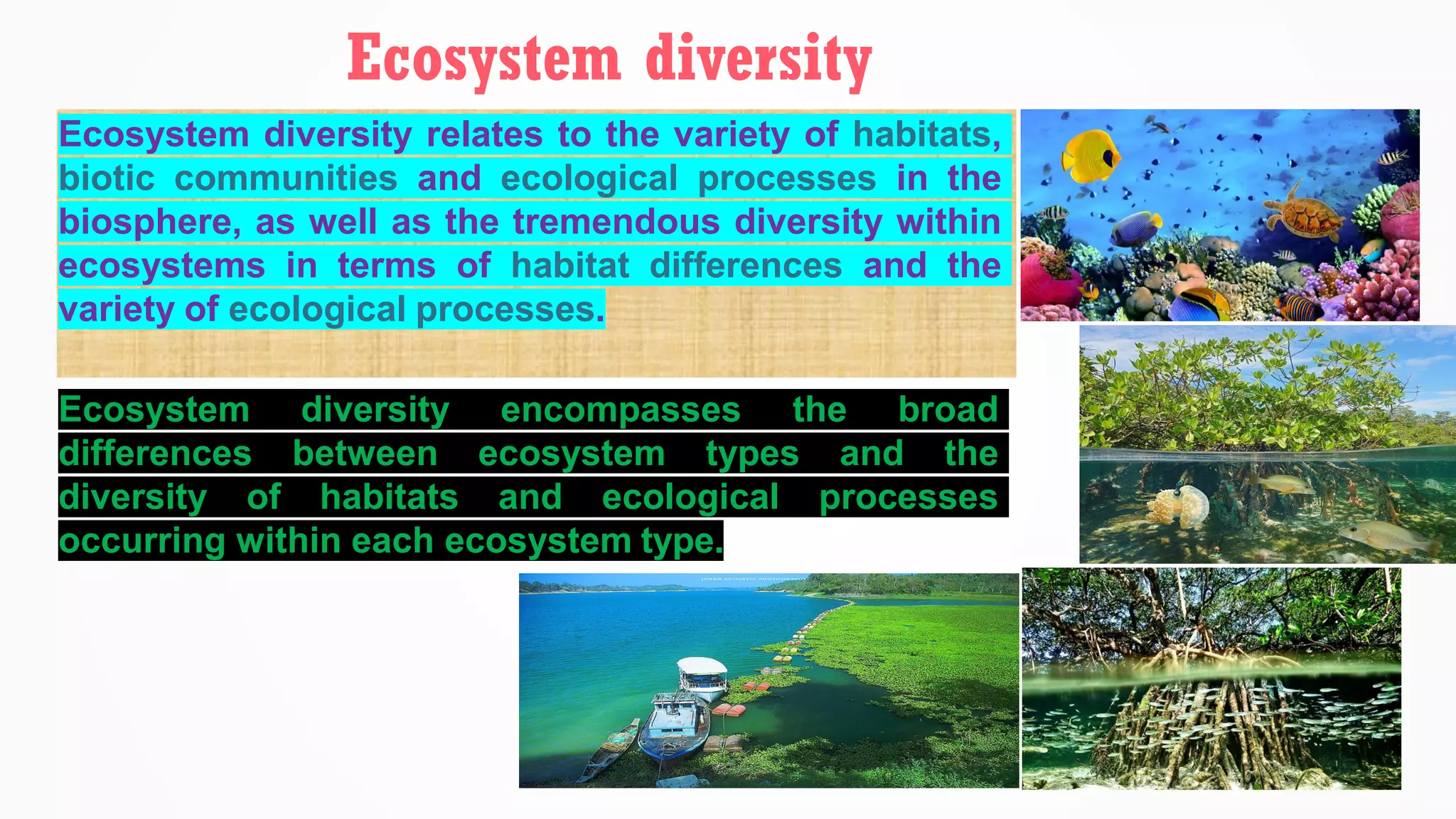 Ecosystem diversity relates to the variety of habitats,
biotic communities and ecological processes in the
biosphere, as well as the tremendous diversity within
ecosystems in terms of habitat differences and the
variety of ecological processes.
Ecosystem diversity
Ecosystem diversity encompasses the broad
differences between ecosystem types and the
diversity of habitats and ecological processes
occurring within each ecosystem type.
 