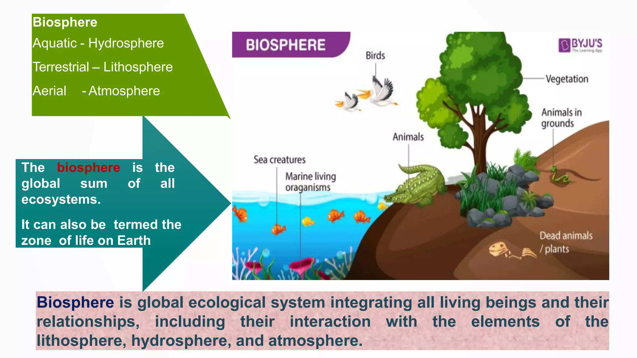 Biosphere is global ecological system integrating all living beings and their
relationships, including their interaction with the elements of the
lithosphere, hydrosphere, and atmosphere.
The biosphere is the
global sum of all
ecosystems.
It can also be termed the
zone of life on Earth
Biosphere
Aquatic - Hydrosphere
Terrestrial – Lithosphere
Aerial - Atmosphere
 