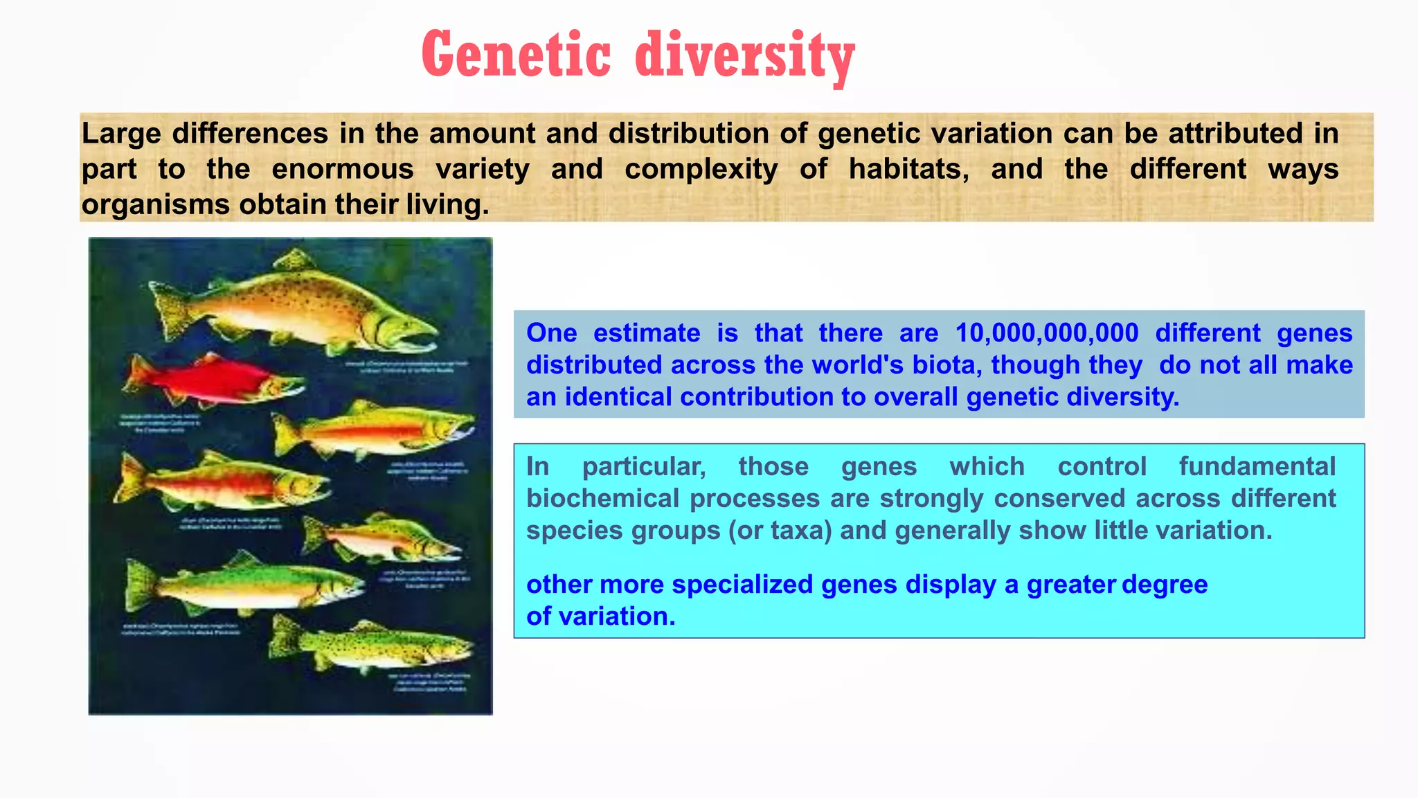Large differences in the amount and distribution of genetic variation can be attributed in
part to the enormous variety and complexity of habitats, and the different ways
organisms obtain their living.
One estimate is that there are 10,000,000,000 different genes
distributed across the world's biota, though they do not all make
an identical contribution to overall genetic diversity.
In particular, those genes which control fundamental
biochemical processes are strongly conserved across different
species groups (or taxa) and generally show little variation.
other more specialized genes display a greater degree
of variation.
Genetic diversity
 
