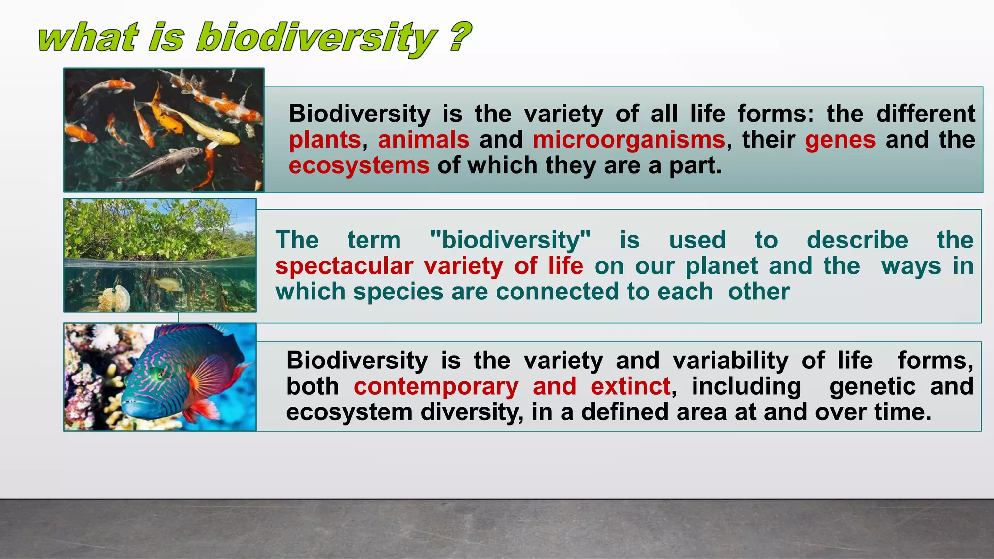 Biodiversity is the variety of all life forms: the different
plants, animals and microorganisms, their genes and the
ecosystems of which they are a part.
Biodiversity is the variety and variability of life forms,
both contemporary and extinct, including genetic and
ecosystem diversity, in a defined area at and over time.
The term "biodiversity" is used to describe the
spectacular variety of life on our planet and the ways in
which species are connected to each other
 