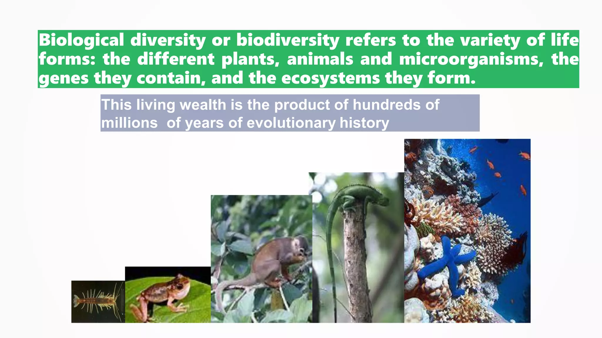 Biological diversity or biodiversity refers to the variety of life
forms: the different plants, animals and microorganisms, the
genes they contain, and the ecosystems they form.
This living wealth is the product of hundreds of
millions of years of evolutionary history
 