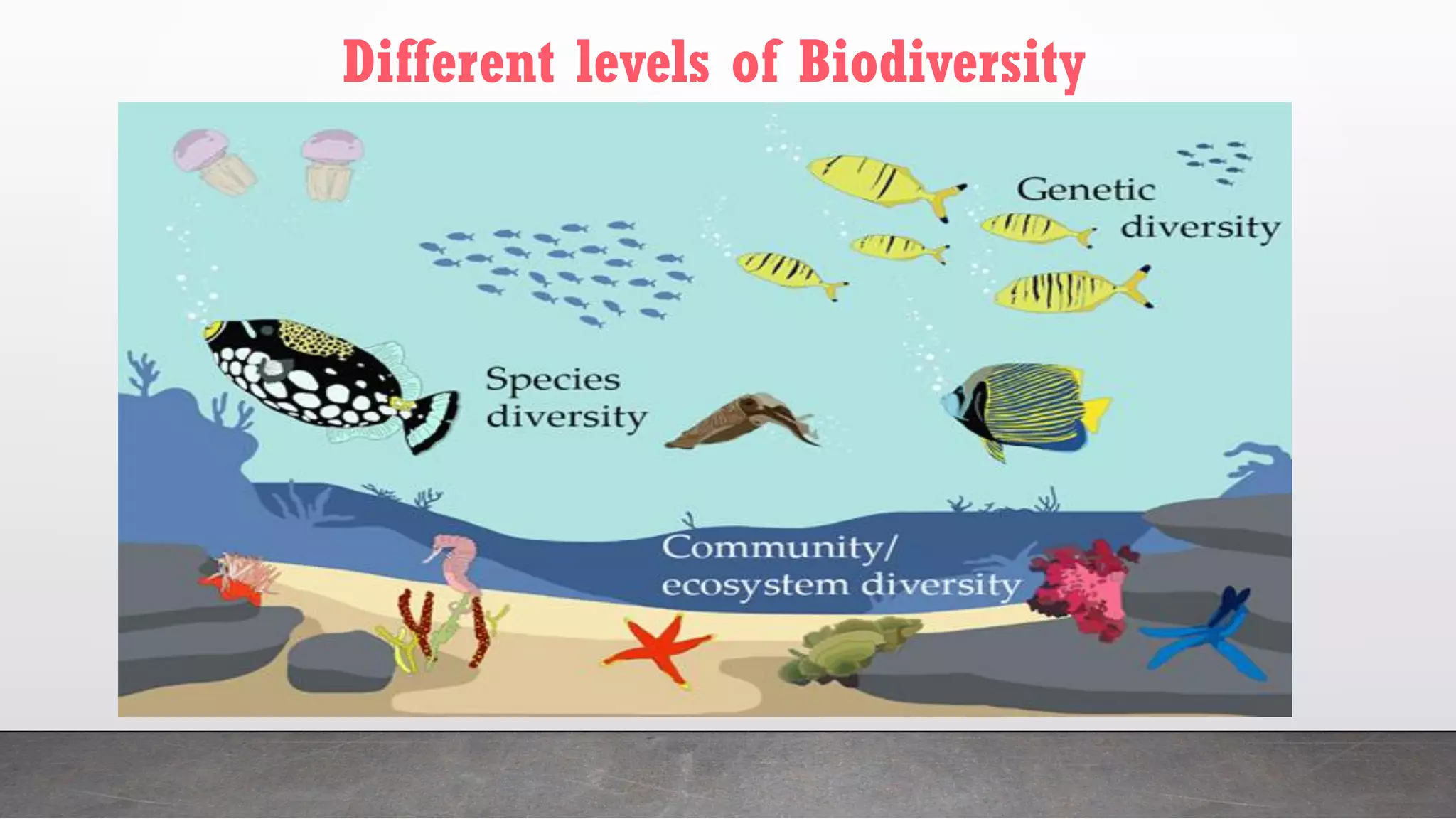 Different levels of Biodiversity
 