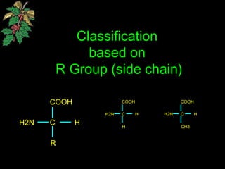 Classification
based on
R Group (side chain)
COOH
C HH2N
R
COOH
C HH2N
H
COOH
C HH2N
CH3
 