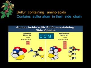 Sulfur containing amino acids
Contains sulfur atom in their side chain
C C M
 