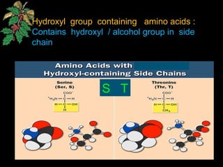 Hydroxyl group containing amino acids :
Contains hydroxyl / alcohol group in side
chain
S T
 