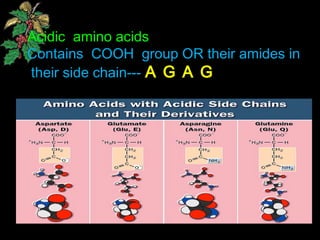 Acidic amino acids
Contains COOH group OR their amides in
their side chain--- A G A G
 