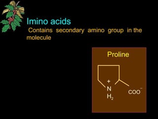 Imino acids
Contains secondary amino group in the
molecule
+
N
H2
COO
_
Proline
 