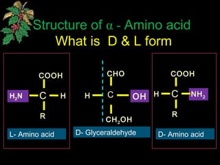Structure of α - Amino acid
What is D & L form
CHO
OHH
CH2OH
C
D- Glyceraldehyde D- Amino acidL- Amino acid
COOH
HH2N
R
C
COOH
H NH2
R
C
 