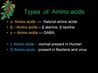 Types of Amino acids
• α Amino acids --- Natural amino acids
• β – Amino acids -- β alanine, β taurine
• γ -- Amino acids --- GABA,
• L Amino acids - normal present in Human
• D Amino acids - present in Bacteria and virus
 
