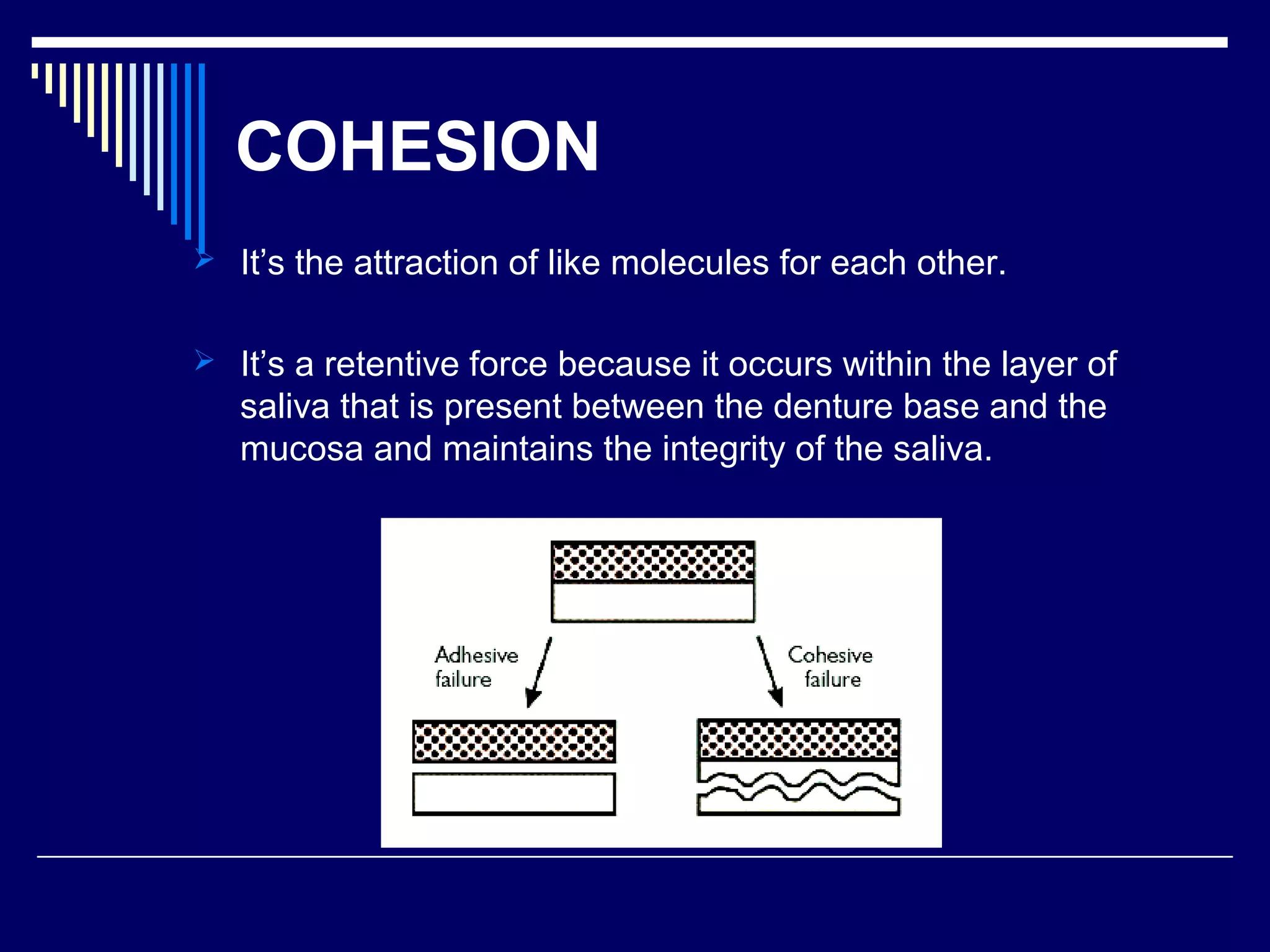 COHESION
 It’s the attraction of like molecules for each other.
 It’s a retentive force because it occurs within the layer of
saliva that is present between the denture base and the
mucosa and maintains the integrity of the saliva.
 
