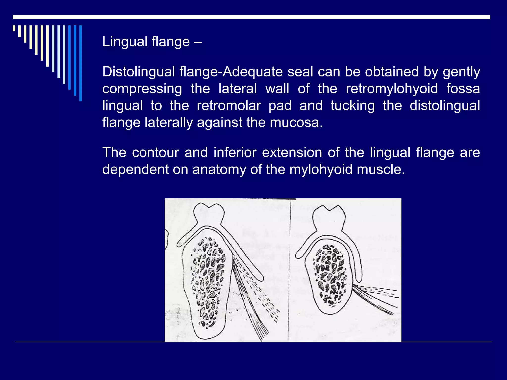 Lingual flange –
Distolingual flange-Adequate seal can be obtained by gently
compressing the lateral wall of the retromylohyoid fossa
lingual to the retromolar pad and tucking the distolingual
flange laterally against the mucosa.
The contour and inferior extension of the lingual flange are
dependent on anatomy of the mylohyoid muscle.
 