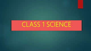 CLASS 1 SCIENCE
 