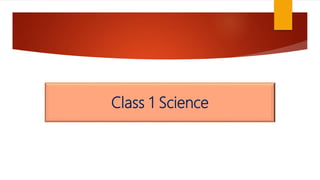 Class 1 Science
 