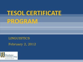 TESOL CERTIFICATE
PROGRAM

LINGUISTICS
February 2, 2012
 