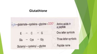biologically important peptides glutathione Peptide | Peptides - List, Benefits, Structure,