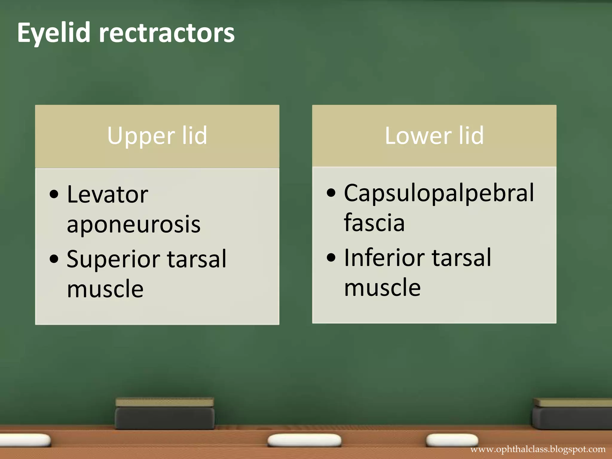 Eyelid rectractors