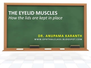 THE EYELID MUSCLES How the lids are kept in place Dr. Anupama Karanth www.ophthalclass.blogspot.com 