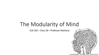 The Modularity of Mind
LCD 105 – Class 20 – Professor Nathacia
 