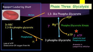 1,3- Bis Phospho Glycerate
Phospho Glycerate Kinase
Mutase
ATP
ADP
3 phospho Glycerate
In RBC
2,3-Bis phospho glycerate
Phosphatase
Pi
Loss of ATP
Dissociation Of oxygen from Hb
2 ATP
Substrate level
Phosphorylation
Arsenate is
competitive inhibitor
Rapaport Leubering Shunt
Mg+2
Phase Three Glycolysis
7
 
