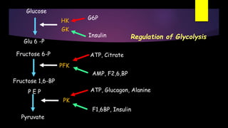 Glucose
Glu 6 -P
Fructose 6-P
Fructose 1,6-BP
P E P
Pyruvate
HK
GK
PFK
PK
G6P
Insulin
ATP, Citrate
AMP, F2,6,BP
ATP, Glucagon, Alanine
F1,6BP, Insulin
Regulation of Glycolysis
 