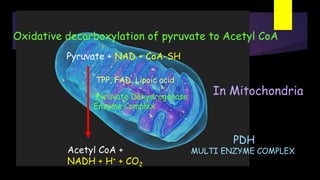 Pyruvate + NAD + CoA-SH
Acetyl CoA +
NADH + H+ + CO2
Pyruvate Dehydrogenase
Enzyme Complex
TPP, FAD, Lipoic acid
Oxidative decarboxylation of pyruvate to Acetyl CoA
In Mitochondria
PDH
MULTI ENZYME COMPLEX
 