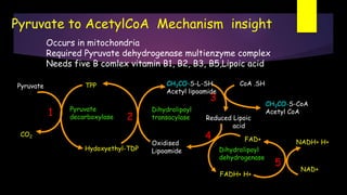 Pyruvate to AcetylCoA Mechanism insight
Occurs in mitochondria
Required Pyruvate dehydrogenase multienzyme complex
Needs five B comlex vitamin B1, B2, B3, B5,Lipoic acid
Pyruvate
Pyruvate
decarboxylase
Oxidised
LipoamideHydoxyethyl-TDP
TPP
CO2
CH3CO-S-L-SH
Acetyl lipoamide
CoA .SH
CH3CO-S-CoA
Acetyl CoA
Reduced Lipoic
acid
FAD+
FADH+ H+
NAD+
NADH+ H+
Dihydrolipoyl
transacylase
Dihydrolipoyl
dehydrogenase
1 2
3
4
5
 