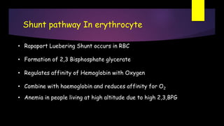 Shunt pathway In erythrocyte
• Rapaport Luebering Shunt occurs in RBC
• Formation of 2,3 Bisphosphate glycerate
• Regulates affinity of Hemoglobin with Oxygen
• Combine with haemoglobin and reduces affinity for O2
• Anemia in people living at high altitude due to high 2,3,BPG
 