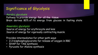 Aerobic glycolysis:
Pathway to provide energy for all the tissue
Brain derives 80% of its energy from glucose in fasting state
Anaerobic glycolysis:
Source of energy for erythrocyte and lens
Source of energy for vigorously contracting muscle
Provides intermediates for other path ways
• 2,3 bisphosphoglycerate for release of oxygen in RBC
• DHAP for TAG synthesis
• Pyruvate for Alanine synthesis
Significance of Glycolysis
 