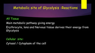 Metabolic site of Glycolysis -Reactions
All Tissue
Main metabolic pathway giving energy
Erythrocyte, lens and Nervous tissue derives their energy from
Glycolysis
Cellular site:
Cytosol / Cytoplasm of the cell
 