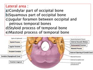 22
Lateral area :
a)Condylar part of occipital bone
b)Squamous part of occipital bone
c)Jugular foramen between occipital and
petrous temporal bones
d)Styloid process of temporal bone
e)Mastoid process of temporal bone
 