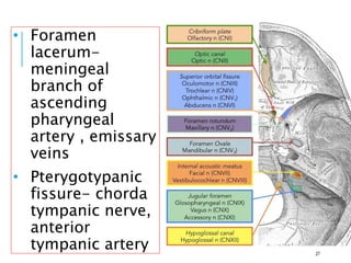 • Foramen
lacerum-
meningeal
branch of
ascending
pharyngeal
artery , emissary
veins
• Pterygotypanic
fissure- chorda
tympanic nerve,
anterior
tympanic artery 27
 