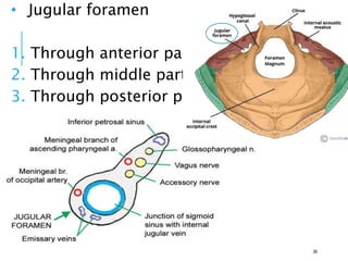 • Jugular foramen
1. Through anterior part
2. Through middle part
3. Through posterior part
36
 