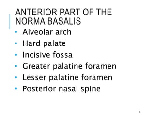 ANTERIOR PART OF THE
NORMA BASALIS
• Alveolar arch
• Hard palate
• Incisive fossa
• Greater palatine foramen
• Lesser palatine foramen
• Posterior nasal spine
4
 