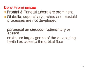 Bony Prominences
 Frontal & Parietal tubera are prominent
 Glabella, superciliary arches and mastoid
processes are not developed
paranasal air sinuses- rudimentary or
absent
orbits are large- germs of the developing
teeth lies close to the orbital floor
40
 