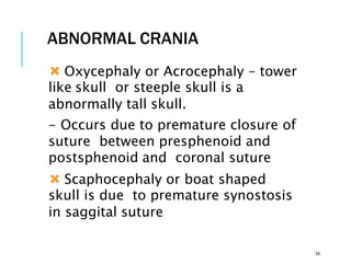 ABNORMAL CRANIA
 Oxycephaly or Acrocephaly – tower
like skull or steeple skull is a
abnormally tall skull.
- Occurs due to premature closure of
suture between presphenoid and
postsphenoid and coronal suture
 Scaphocephaly or boat shaped
skull is due to premature synostosis
in saggital suture
54
 