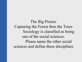The Big Picture Capturing the Forest then the Trees Sociology is classified as being one of the social sciences. Please name the other social sciences and define these disciplines 