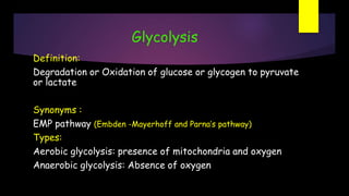 Definition Of Glycolysis Class 2 Glycolysis 2 320