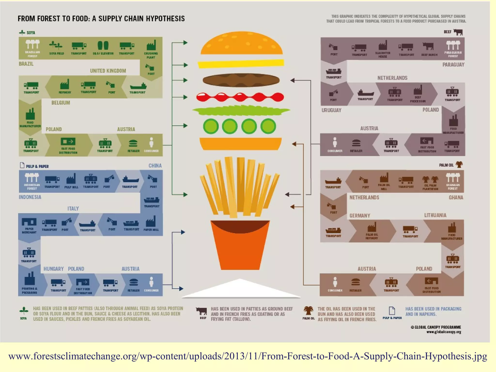www.forestsclimatechange.org/wp-content/uploads/2013/11/From-Forest-to-Food-A-Supply-Chain-Hypothesis.jpg
 