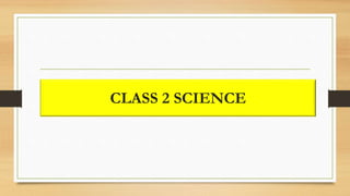 CLASS 2 SCIENCE
 