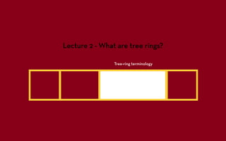 Lecture 2 - What are tree rings?

                Tree-ring terminology
 