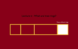 Lecture 2 - What are tree rings?

                                   Trees without rings
 