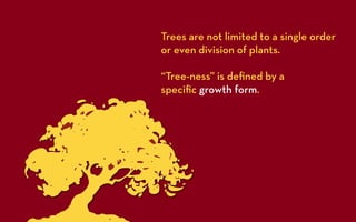 Trees are not limited to a single order
or even division of plants.

“Tree-ness” is deﬁned by a
speciﬁc growth form.
 