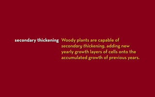 secondary thickening Woody plants are capable of
                     secondary thickening, adding new
                     yearly growth layers of cells onto the
                     accumulated growth of previous years.
 