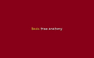 Basic tree anatomy
 
