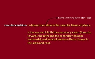 tissue containing plant ‘stem’ cells



vascular cambium 1 a lateral meristem in the vascular tissue of plants.

                   2 the source of both the secondary xylem (inwards,
                   towards the pith) and the secondary phloem
                   (outwards), and located between these tissues in
                   the stem and root.
 
