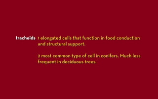 tracheids 1 elongated cells that function in food conduction
          and structural support.

          2 most common type of cell in conifers. Much less
          frequent in deciduous trees.
 